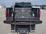 2025 Ford F-150 SuperCrew Cab 4WD Pickup for sale #SKE53318 - photo 11
