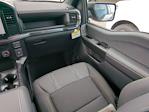 2025 Ford F-150 SuperCrew Cab RWD Pickup for sale #SKE56363 - photo 15
