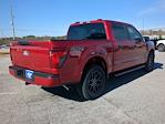 New 2025 Ford F-150 STX SuperCrew Cab for sale #SKE91665 - photo 15
