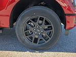 New 2025 Ford F-150 STX SuperCrew Cab for sale #SKE91665 - photo 19