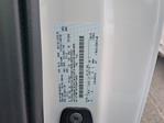 New 2025 Ford F-150 XL Regular Cab Pickup for sale #SKF10051 - photo 23