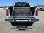 New 2025 Ford F-150 XLT SuperCrew Cab 4WD Pickup for sale #SKF30969 - photo 11