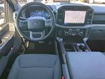New 2025 Ford F-150 XLT SuperCrew Cab 4WD Pickup for sale #SKF31080 - photo 14