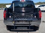 New 2025 Ford F-150 XLT SuperCrew Cab 4WD Pickup for sale #SKF33160 - photo 11