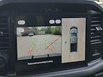 New 2025 Ford F-150 XLT SuperCrew Cab 4WD Pickup for sale #SKF33277 - photo 18