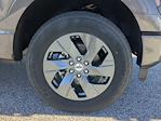 New 2025 Ford F-150 STX SuperCrew Cab for sale #SKF35398 - photo 9