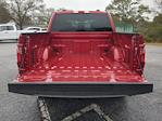 New 2025 Ford F-150 STX SuperCrew Cab for sale #SKF48106 - photo 11