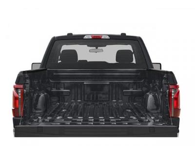 New 2025 Ford F-150 - photo 1