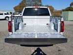 New 2025 Ford F-150 STX SuperCrew Cab 4WD Pickup for sale #SKF49016 - photo 20