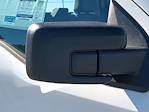 New 2025 Ford F-150 XL Regular Cab Pickup for sale #SKF49188 - photo 10