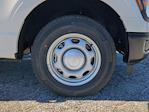 New 2025 Ford F-150 XL Regular Cab Pickup for sale #SKF49188 - photo 9