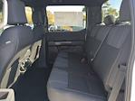 New 2025 Ford F-150 STX SuperCrew Cab for sale #SKF73757 - photo 22
