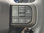 New 2025 Ford F-150 STX SuperCrew Cab for sale #SKF87490 - photo 1