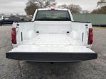 New 2025 Ford F-150 XL Regular Cab for sale #SKF93999 - photo 14