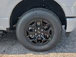 2025 Ford F-150 Lightning SuperCrew Cab AWD Pickup for sale #SWG15353 - photo 17