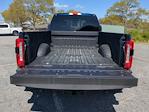2024 Ford F-350 Crew Cab DRW 4WD Pickup for sale #TED00741 - photo 11