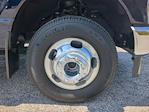 2024 Ford F-350 Crew Cab DRW 4WD Pickup for sale #TED00741 - photo 9