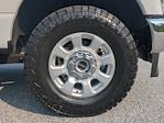 2023 Ford F-350 Crew Cab SRW 4WD Pickup for sale #TED38502 - photo 11
