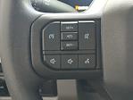 2024 Ford F-250 Crew Cab 4WD Pickup for sale #TED89661 - photo 11