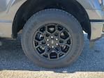 New 2026 Ford F-150 XLT SuperCrew Cab for sale #TFA00297 - photo 9