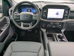 New 2026 Ford F-150 XLT SuperCrew Cab for sale #TFA09922 - photo 14