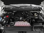 2016 Ford F-150 Regular Cab RWD Pickup for sale #TFA97544 - photo 14