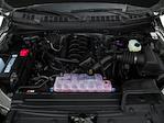 2016 Ford F-150 SuperCrew Cab 4WD Pickup for sale #TFB34431 - photo 14