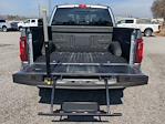 New 2026 Ford F-150 XLT SuperCrew Cab for sale #TKD00526 - photo 11