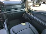 2023 Ford F-250 Crew Cab 4WD Pickup for sale #ZEE17410 - photo 15