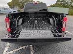 2022 Ford F-450 Crew Cab DRW 4WD Pickup for sale #ZEE55339 - photo 11