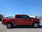 2023 Ford F-150 SuperCrew Cab 4WD Pickup for sale #ZKD83329 - photo 15
