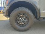 2024 Ford F-150 SuperCrew Cab 4x4 Pickup for sale #F25179A - photo 9