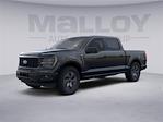 2025 Ford F-150 SuperCrew Cab 4WD Pickup for sale #F25889 - photo 10