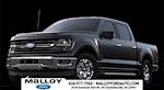 2024 Ford F-150 SuperCrew Cab 4x4 Pickup for sale #FP24814 - photo 1