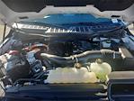 2024 Ford F-150 SuperCrew Cab 4WD Pickup for sale #MP11989 - photo 20