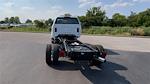 2024 Chevrolet Silverado 5500 Regular Cab DRW 4x4 Cab Chassis for sale #24T545 - photo 7