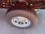 New 2025 Ford F-250 XL Crew Cab for sale #T14892 - photo 14