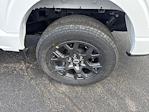 New 2026 Ford F-150 STX SuperCrew Cab for sale #T15291 - photo 14