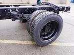 2024 Chevrolet Silverado 5500 Regular Cab DRW 4x4 Cab Chassis for sale #244247F - photo 15