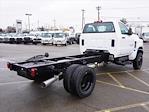 2024 Chevrolet Silverado 5500 Regular Cab DRW 4x4 Cab Chassis for sale #244247F - photo 3