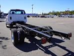 2024 Chevrolet Silverado 5500 Regular Cab DRW 4x2 Cab Chassis for sale #244580F - photo 2