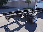 2024 Chevrolet Silverado 5500 Regular Cab DRW 4x2 Cab Chassis for sale #244580F - photo 17