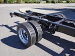 2024 Chevrolet Silverado 5500 Regular Cab DRW 4x2 Cab Chassis for sale #244580F - photo 18