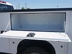 2025 Chevrolet Silverado 3500 Regular Cab DRW 4x4 Service Truck for sale #253914F - photo 21