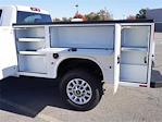 2025 Chevrolet Silverado 2500 Regular Cab 4WD Knapheide Service Truck for sale #254523F - photo 18