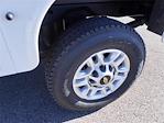 2025 Chevrolet Silverado 2500 Regular Cab 4WD Knapheide Service Truck for sale #254523F - photo 19