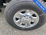 New 2024 Ram 2500 Tradesman Regular Cab 4x4 Pickup for sale #R241821 - photo 6