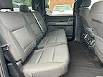 2023 Ford F-150 SuperCrew Cab 4WD Pickup for sale #P25137 - photo 21