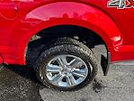 2020 Ford F-150 SuperCrew Cab 4WD Pickup for sale #P25253 - photo 32
