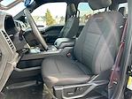 2019 Ford F-150 SuperCrew Cab 4WD Pickup for sale #P25285 - photo 10
